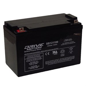 DriveMotion SLA (31) 12 volts 110Ah Term. B / 