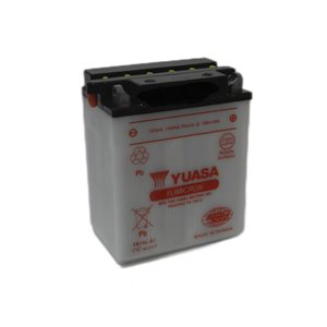 PowerSports Battery