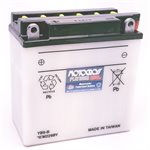 PowerSports Battery