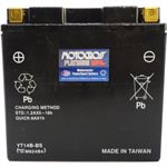 PowerSports Battery