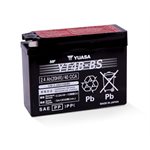 PowerSports Battery