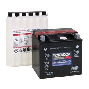 PowerSports Battery