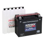 PowerSports Battery